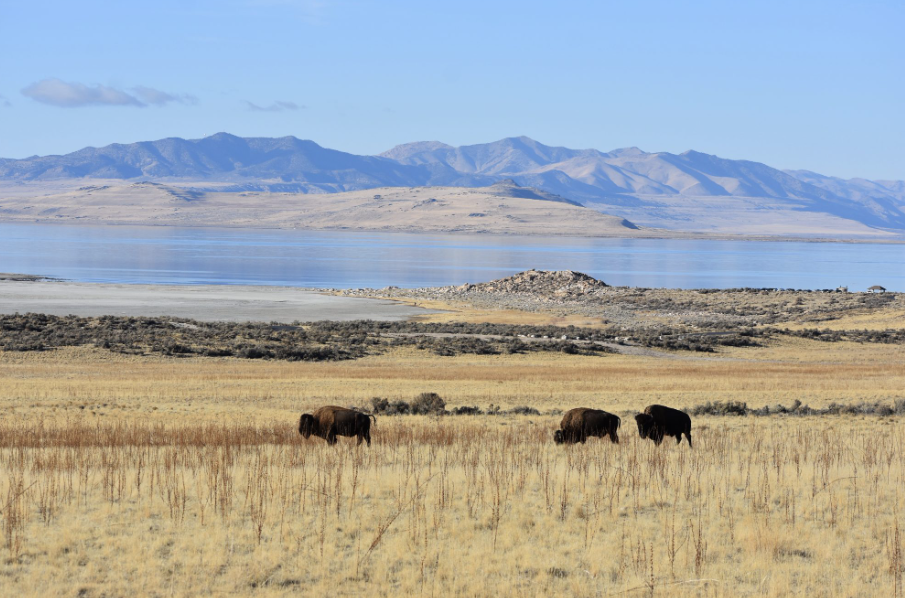 Antelope Island