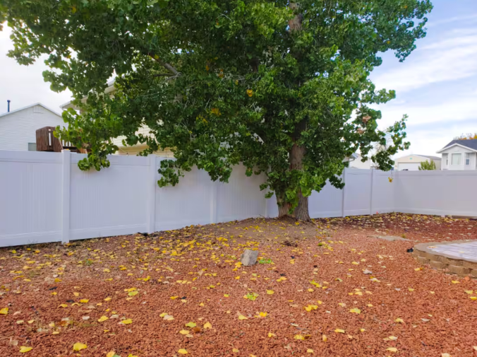 Large fenced backyard with mature shade tree and white vinyl fence